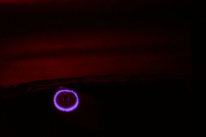 Imagen del bioplasma de un dedo en Kirlian